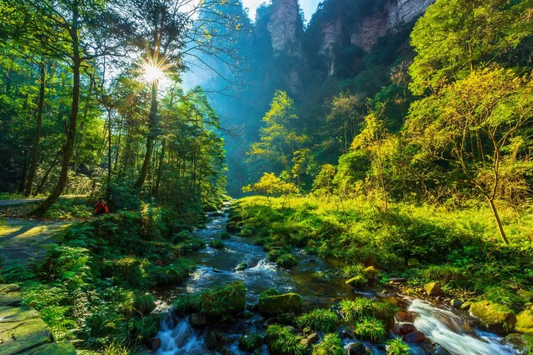 2786580c7f26ef3dbfc1d0da32398e94-sz_248882 2786580c7f26ef3dbfc1d0da32398e94-sz_248882