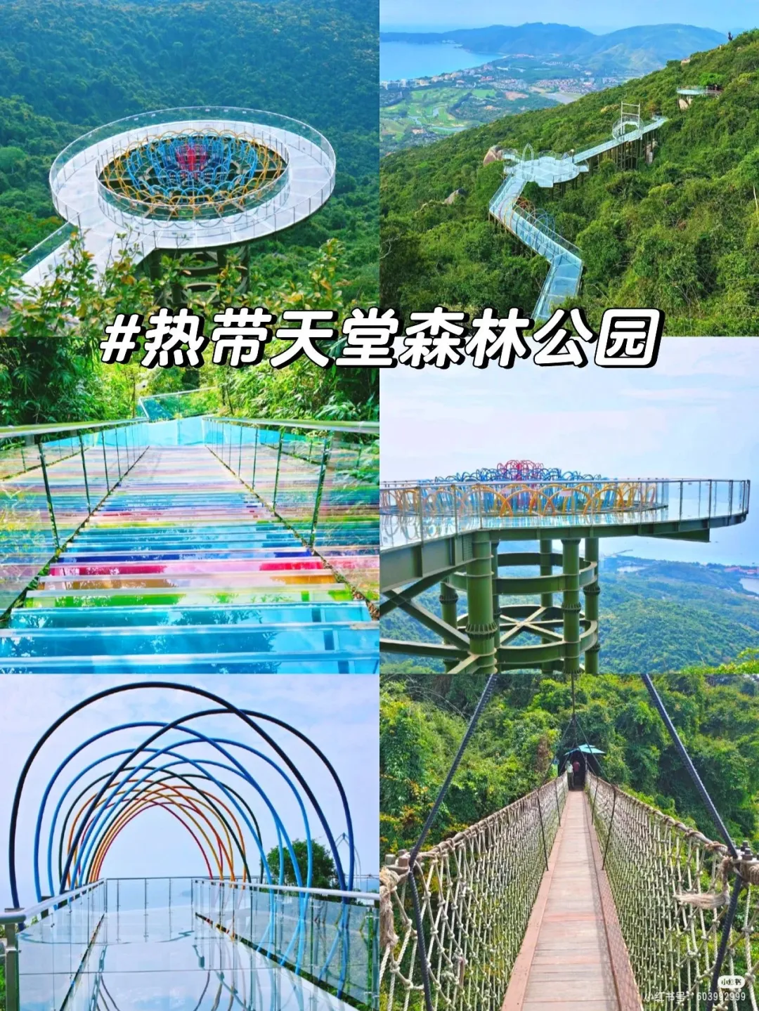 42bf93899c321f9c6e70c0333a555654-sz_1670251 42bf93899c321f9c6e70c0333a555654-sz_1670251