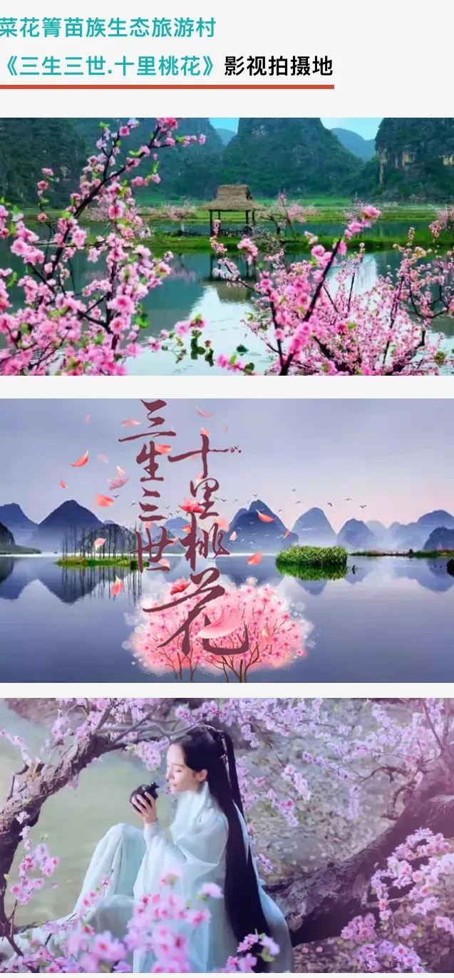 efbffdacb6ec038ca0b9768de264dd8a-sz_1743370 efbffdacb6ec038ca0b9768de264dd8a-sz_1743370