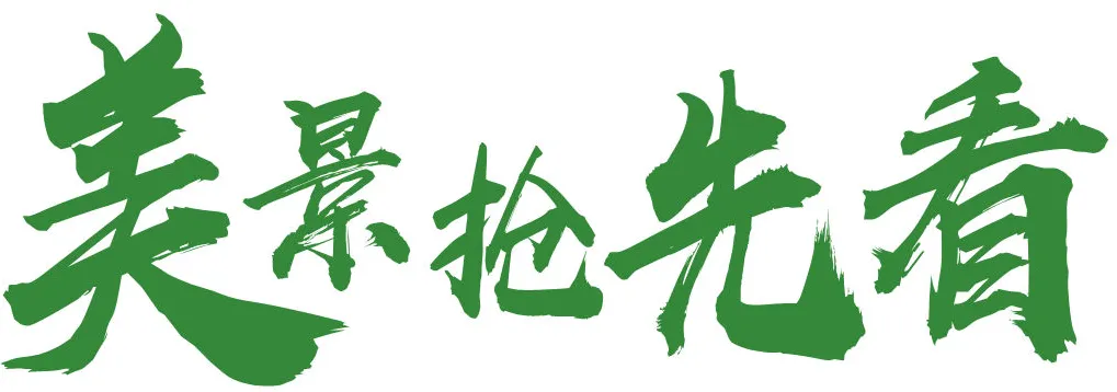 0d4e0b45e627af9d0c969b247693cdaf-sz_62892 0d4e0b45e627af9d0c969b247693cdaf-sz_62892