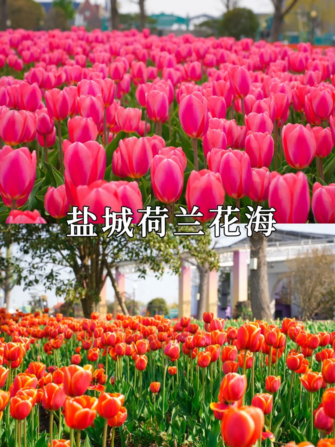 a347e05db98e3944e5929b076bad078b-sz_449697 a347e05db98e3944e5929b076bad078b-sz_449697