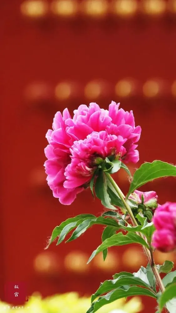 b9de6bf68ccd0fee41f4bc8bf746e802-sz_61301-2 b9de6bf68ccd0fee41f4bc8bf746e802-sz_61301-2