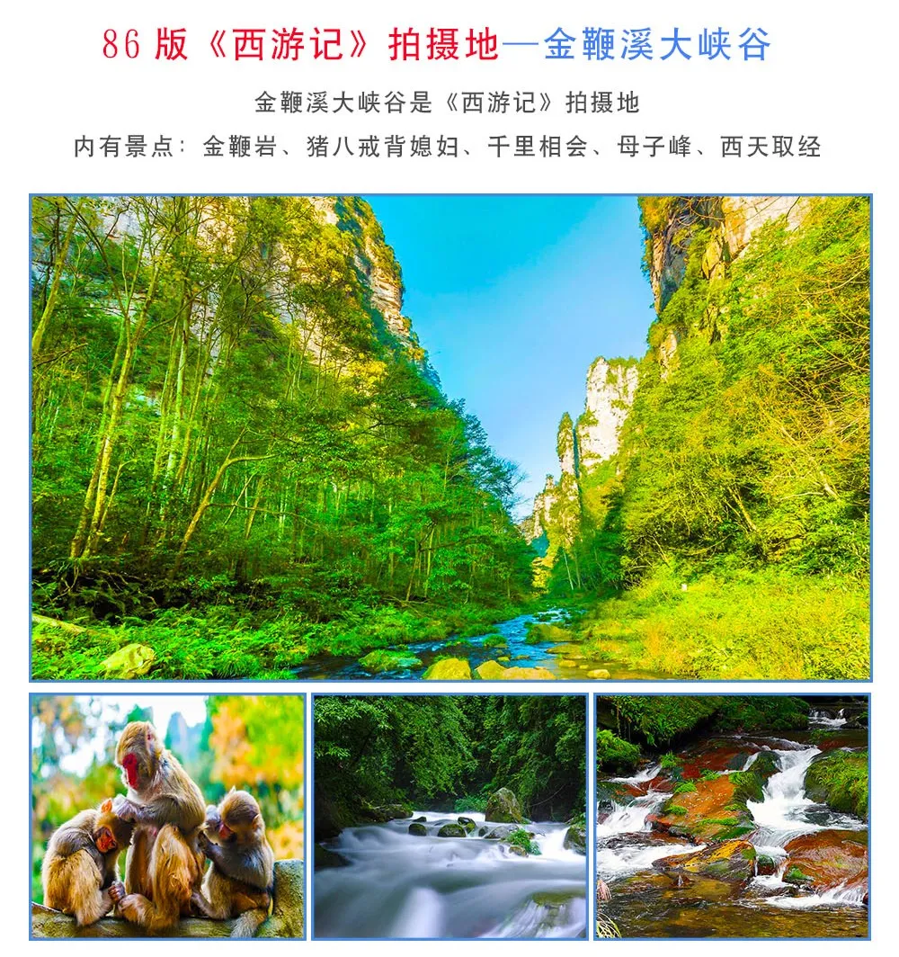 3a8acb6cf83805aa439aa7f9fcf65583-sz_455571