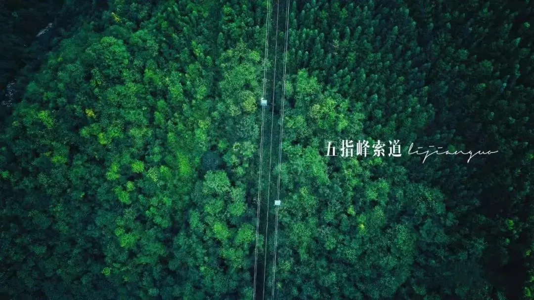 c0a0172299267fd75bdee4a390c9544f-sz_195147