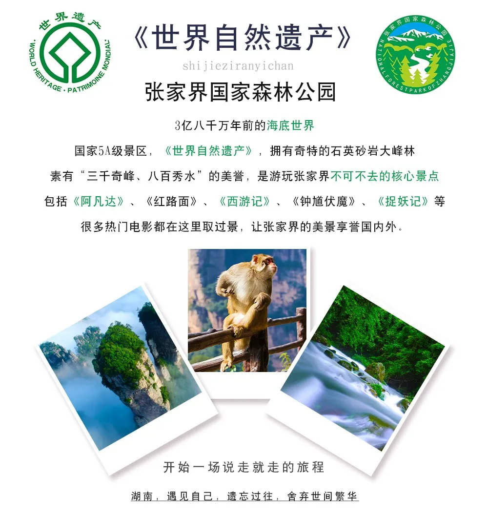 d6c522300ee659f2218f7ad4d306b633-sz_226742