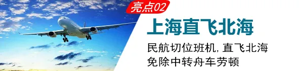 e8dc826e15bdabafd08904338319254f-sz_101195 e8dc826e15bdabafd08904338319254f-sz_101195