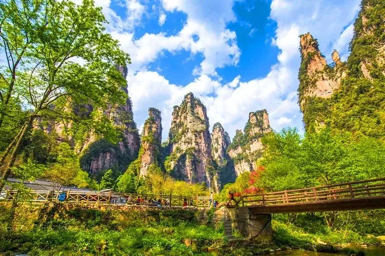 1e15aeaac9d811c16a6da13040f89076-sz_145250