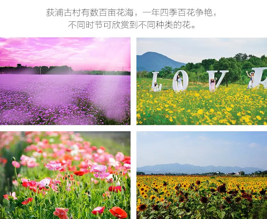 34e62440891f6ee13f7fc8f675dffb69-sz_136727 34e62440891f6ee13f7fc8f675dffb69-sz_136727