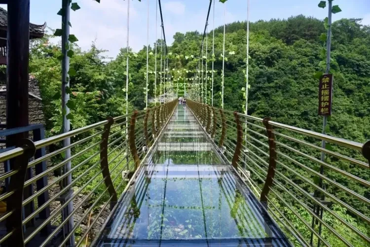 3c386f0ee830291c7f6a1d4f8675db8a-sz_1724742