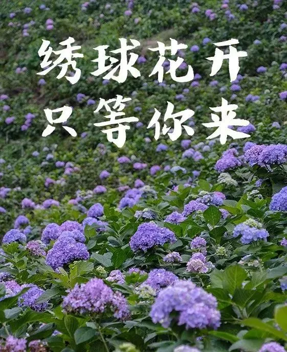 464d96ef04919b91013ae2c7f99eb540-sz_119681 464d96ef04919b91013ae2c7f99eb540-sz_119681