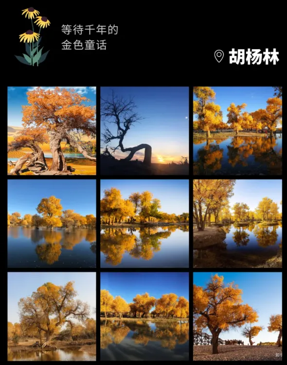 1dee7322d68ed2544f90bfd0642d4048-sz_876505-1 1dee7322d68ed2544f90bfd0642d4048-sz_876505-1