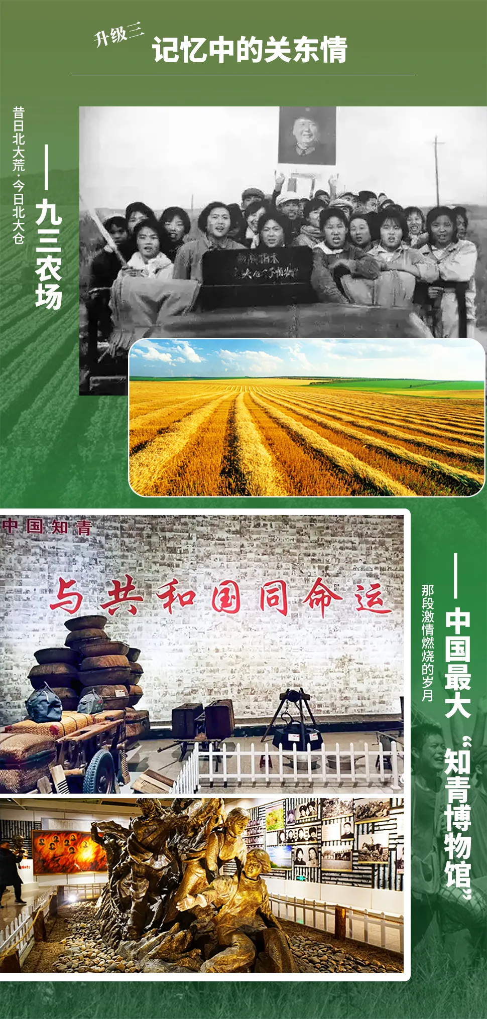 46a930b7b22614cb43c03a9b1c2227d0-sz_837115 46a930b7b22614cb43c03a9b1c2227d0-sz_837115