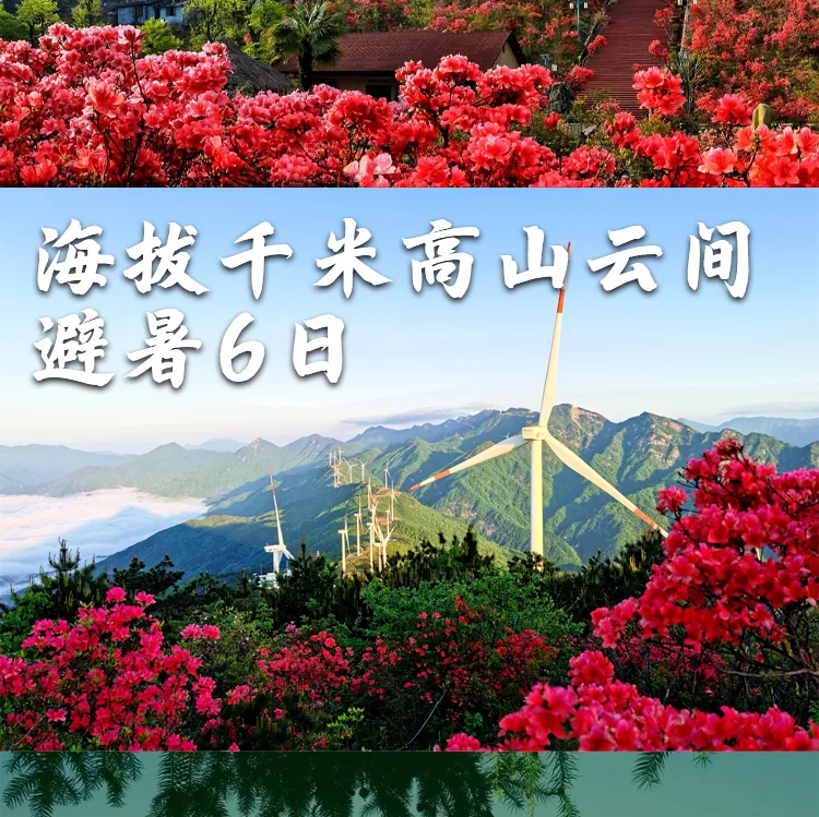 aa1d6375d724f103fb9863beddbdabc4-sz_662731-2 aa1d6375d724f103fb9863beddbdabc4-sz_662731-2