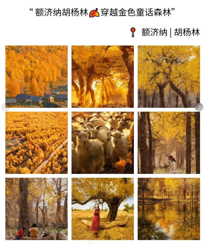 bcdfdf8a9d35b9aead86f8953d021bdd-sz_1329797-1 bcdfdf8a9d35b9aead86f8953d021bdd-sz_1329797-1