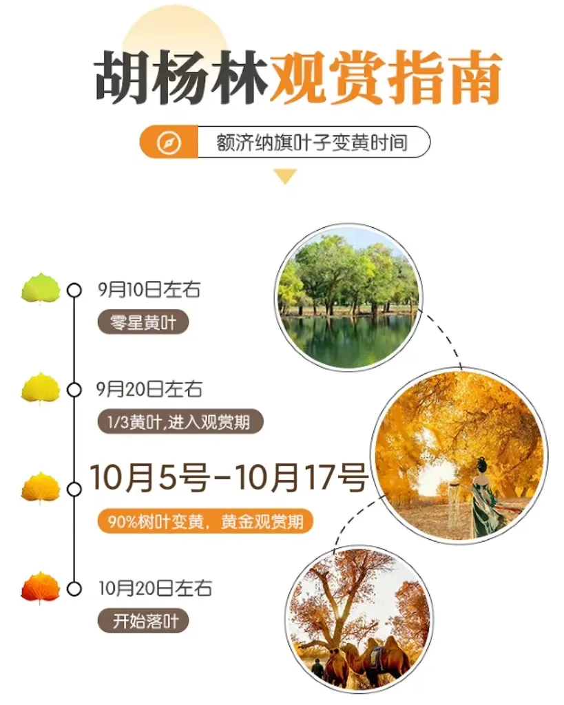 ca5f0eb01f8c3e7285c5b1200d31fe36-sz_304960-1 ca5f0eb01f8c3e7285c5b1200d31fe36-sz_304960-1