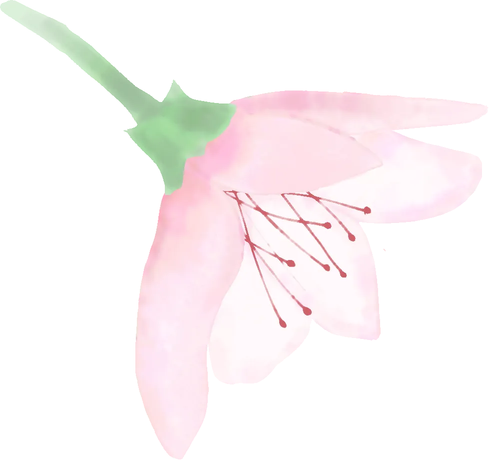 e73b2d4a14f1f62a3fa8ee5607d0fea3_sz-290932-1 e73b2d4a14f1f62a3fa8ee5607d0fea3_sz-290932-1