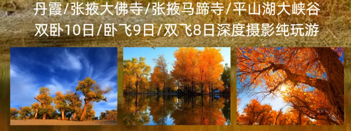 e9d36598673b4a43bf9eed6a95c30ed0