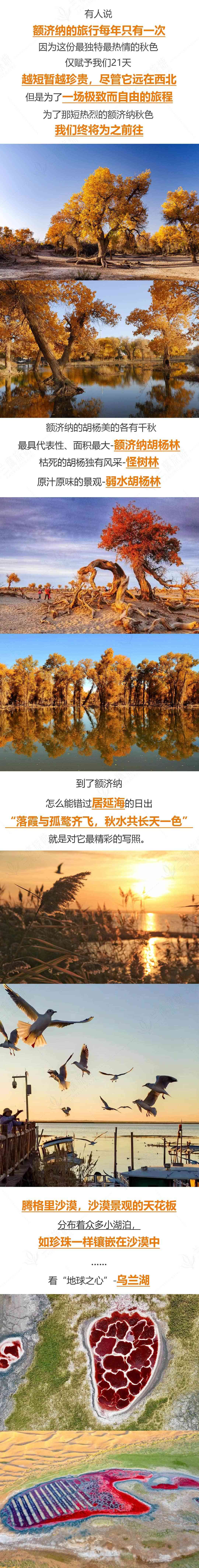 eb5d7c7d75f5d822f49dabd34aabba60 eb5d7c7d75f5d822f49dabd34aabba60