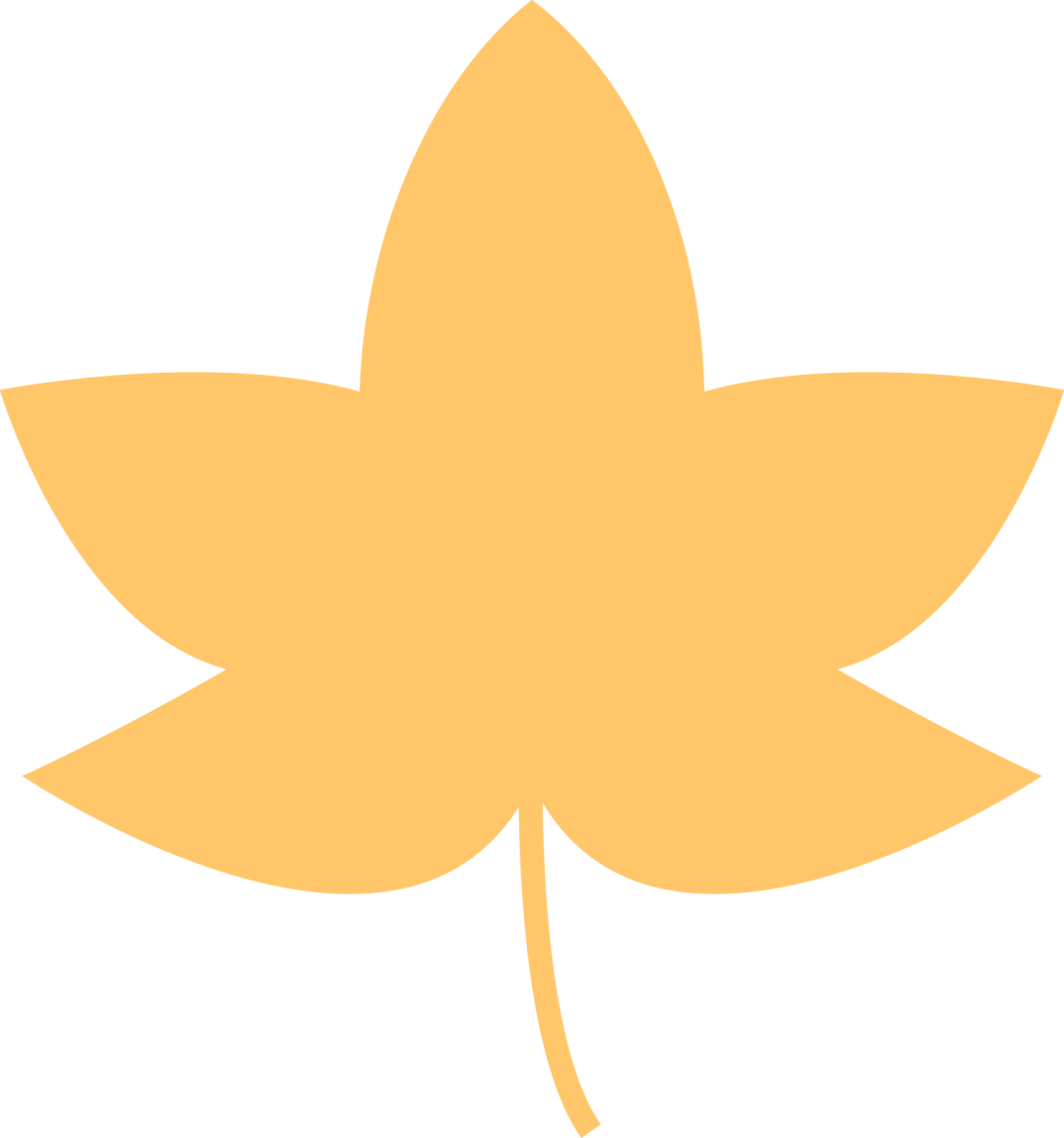 1723170520_371551392