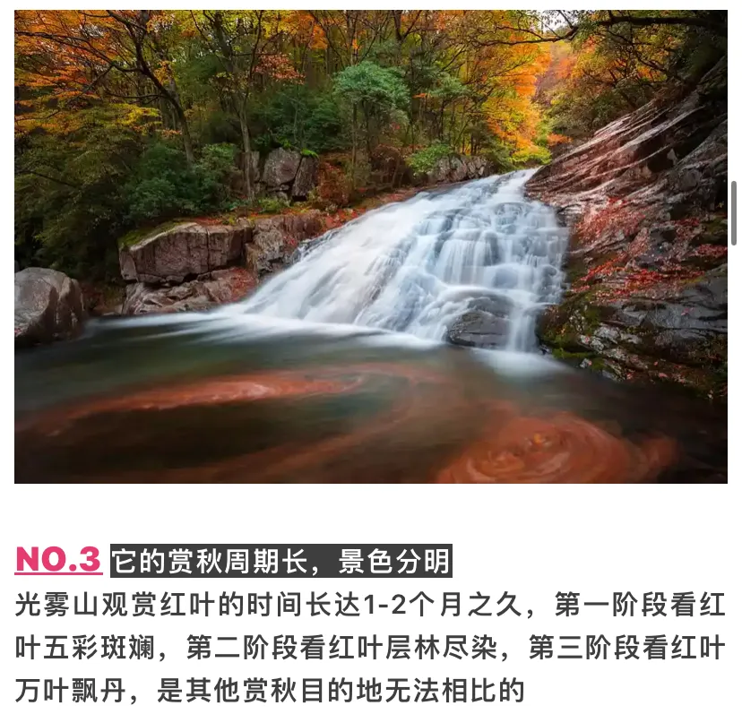 9f7519a0851f0ade0bf5d15ccf3d7aab-sz_993835