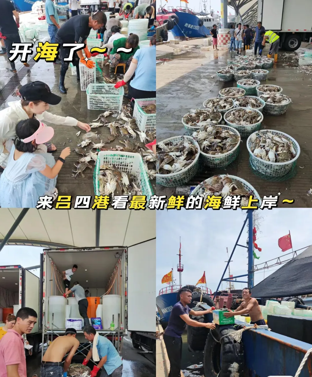 aa3e3b7ec91ee796661fc4d6c128d8e6-sz_735416-1 aa3e3b7ec91ee796661fc4d6c128d8e6-sz_735416-1