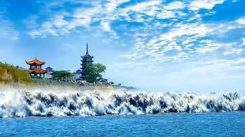 ca5b70b3e175b7bcbef124e3c22e330e-sz_356598-1