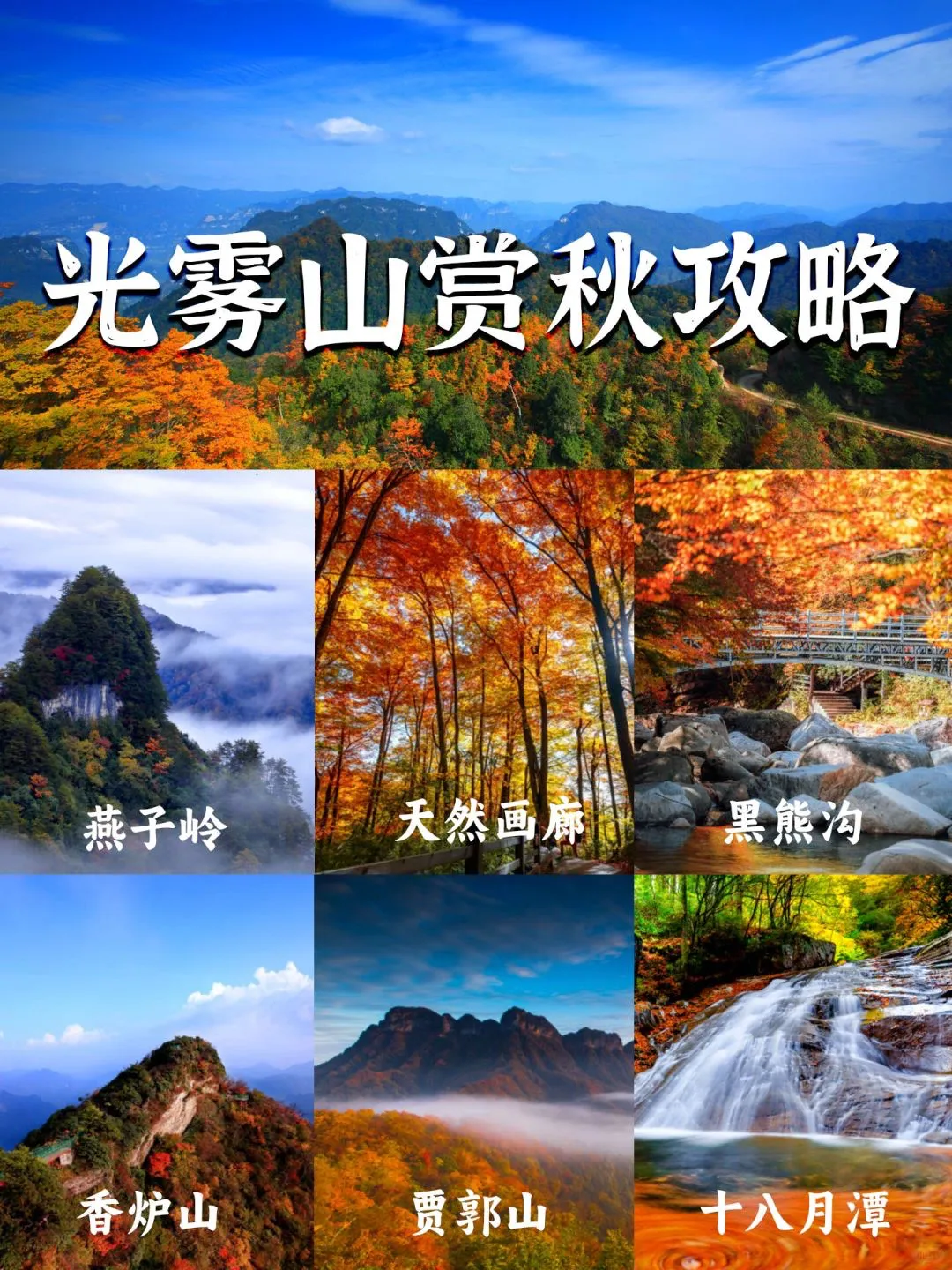 ce16b6c95d7bbfd0382cc2fd27ecbc6d-sz_3030367-1