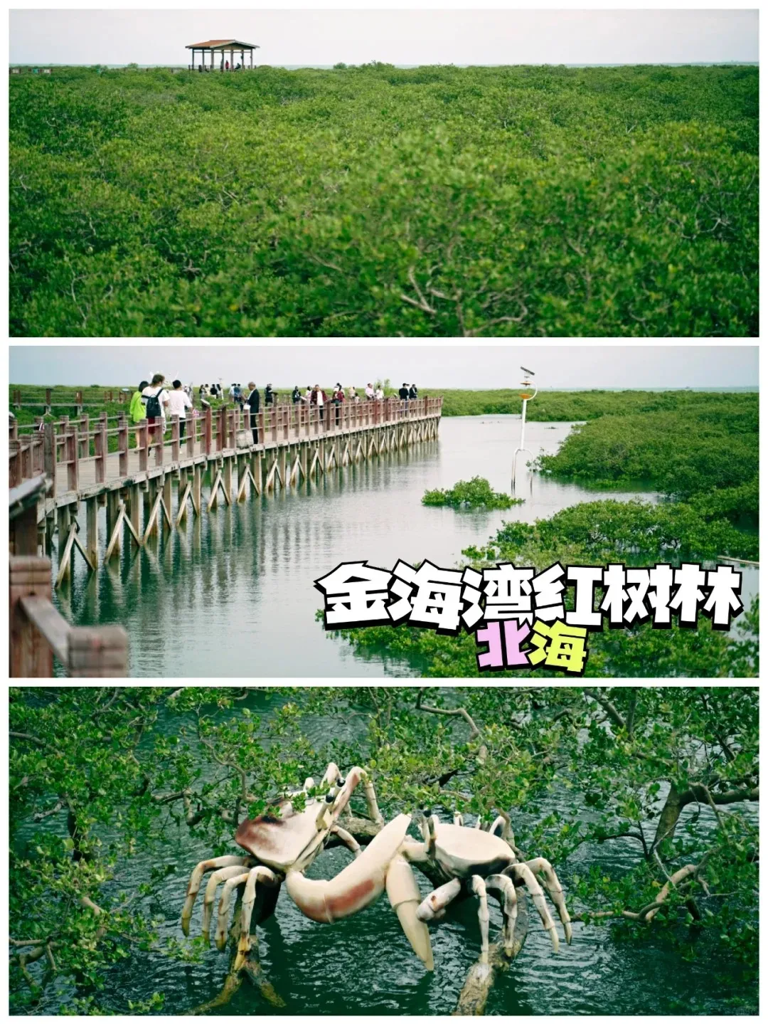 0b62026b6f3ccf5344b8428a42c5a0bc-sz_546482 0b62026b6f3ccf5344b8428a42c5a0bc-sz_546482
