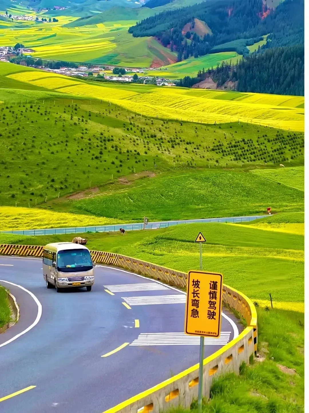 2f769845a2367c2679e110ddade2c6f8-sz_447325 2f769845a2367c2679e110ddade2c6f8-sz_447325