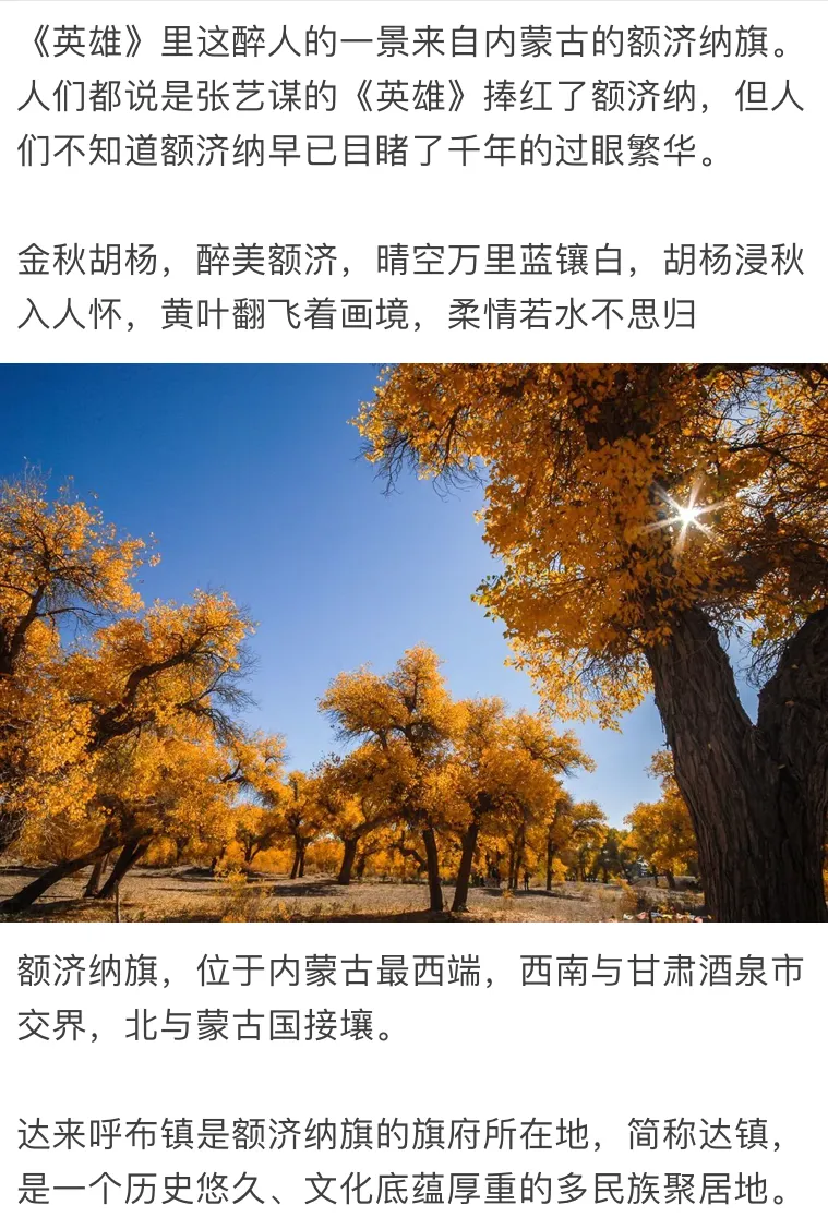 3ede010e4ebc41f4d0cf6ee74b70ef92-sz_1123674-3