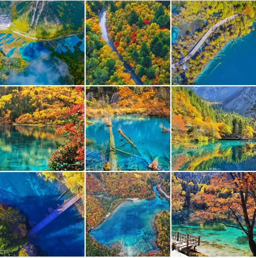 3ff5f5d658c17503a0ffe8fd412ea3fd-sz_481605 3ff5f5d658c17503a0ffe8fd412ea3fd-sz_481605