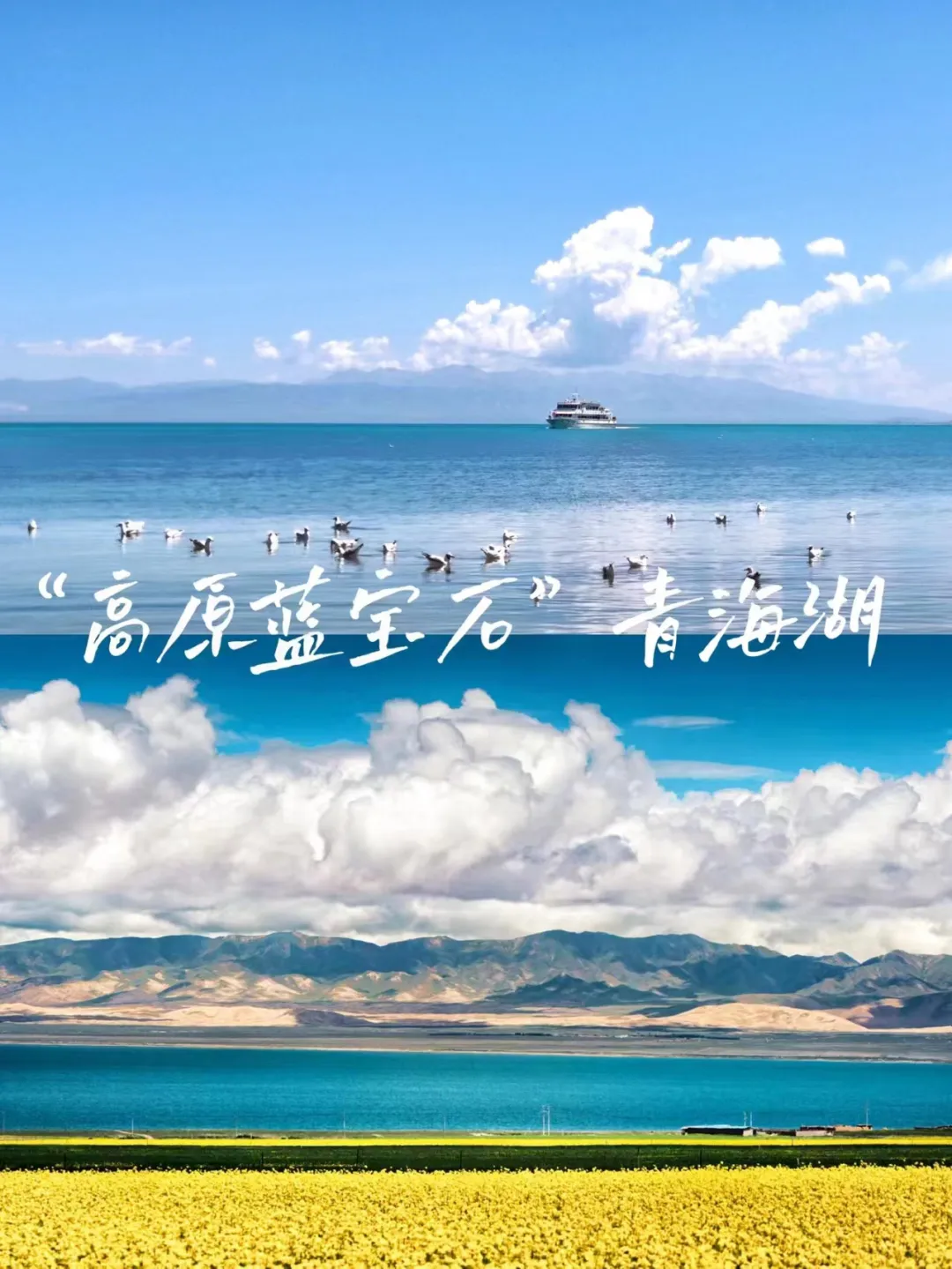 47a5b74cbbe1e1e0ec99054157f67f9a-sz_568712