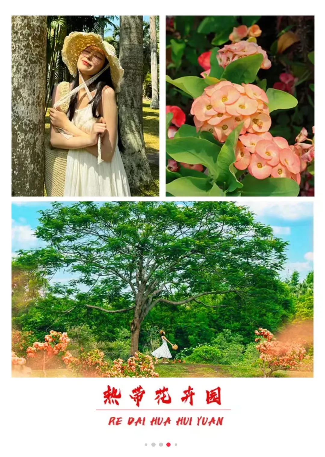 537435ea08182e9c9368992bebb1a272-sz_481986 537435ea08182e9c9368992bebb1a272-sz_481986