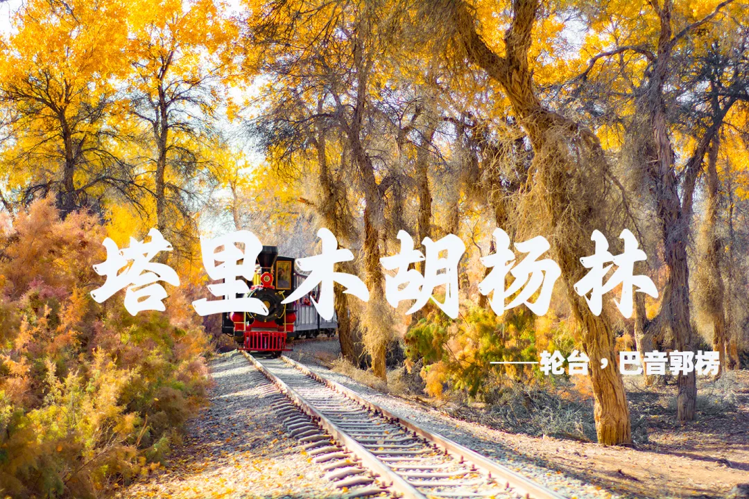 7c743698551db5a53e494afe3547b93f-sz_1258691 7c743698551db5a53e494afe3547b93f-sz_1258691