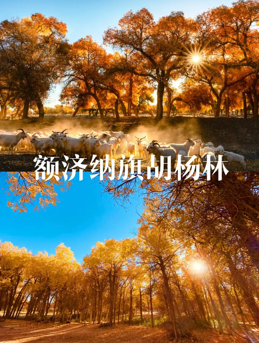 8d15ab44c6246418c724dc7be4ce28cc-sz_1572358-3 8d15ab44c6246418c724dc7be4ce28cc-sz_1572358-3