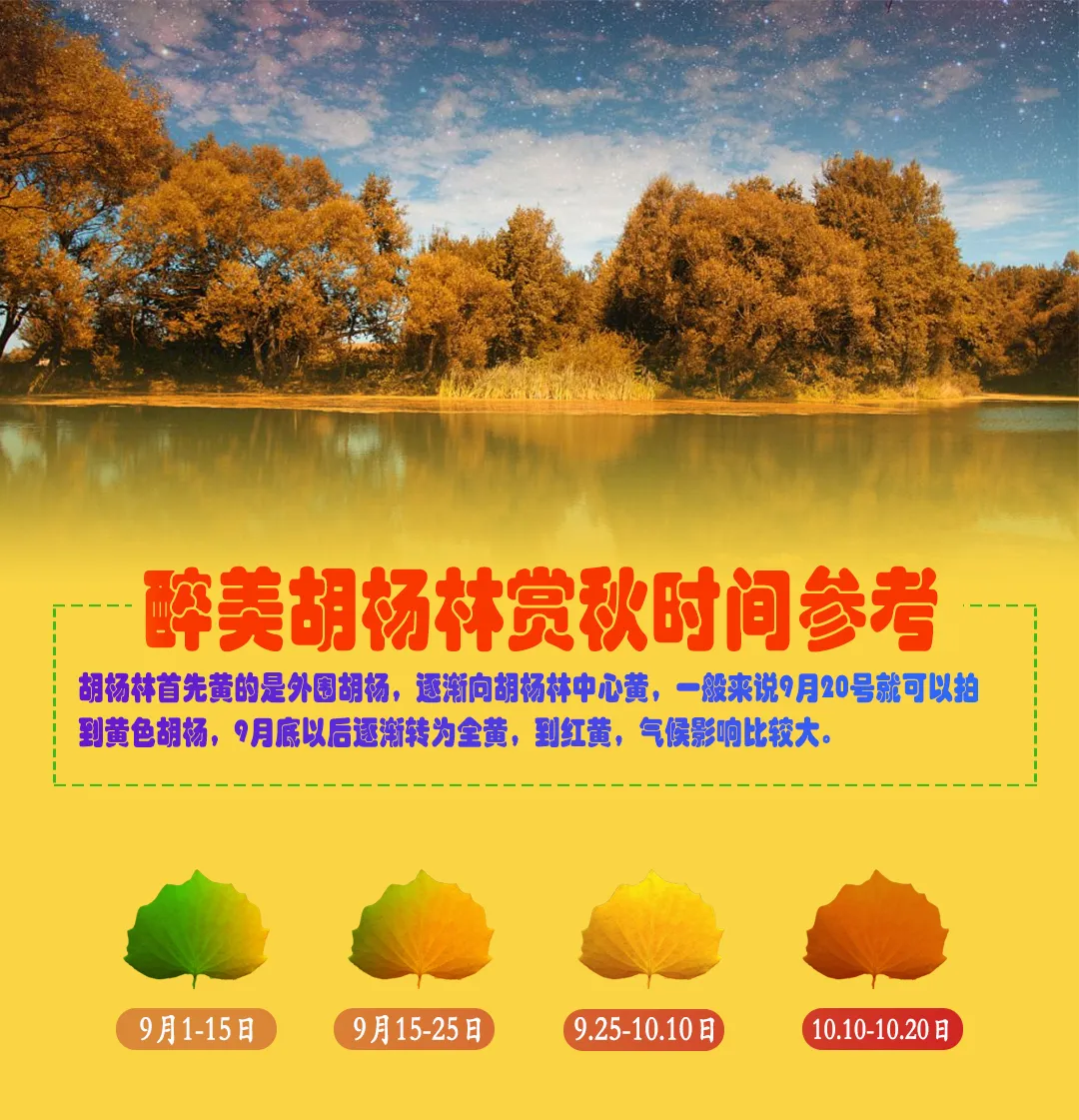 adf00b04e4dc6ef5fbe50766426bb0c8-sz_912194-1 adf00b04e4dc6ef5fbe50766426bb0c8-sz_912194-1