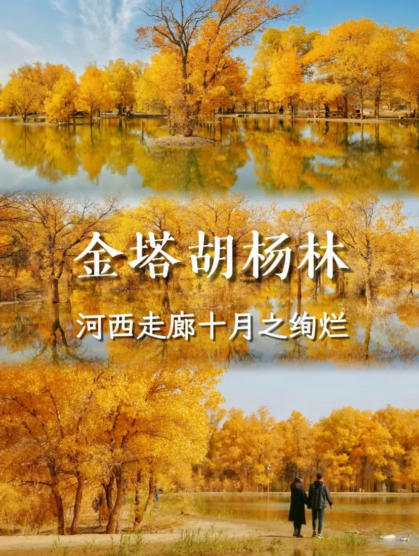 bb1a1d073f1fd68693d35194202a020d-sz_2124643-3 bb1a1d073f1fd68693d35194202a020d-sz_2124643-3