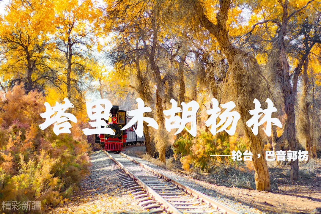 c1d6d24085b96dbccf121aa1238a08bf-sz_1258691 c1d6d24085b96dbccf121aa1238a08bf-sz_1258691
