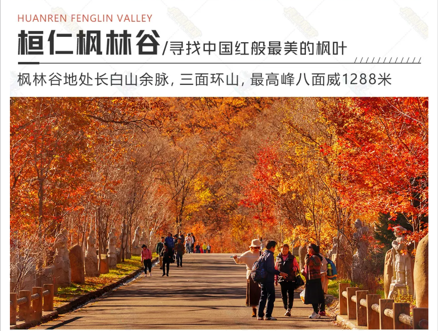ce560189f1e22f97d9867395c1fdc266