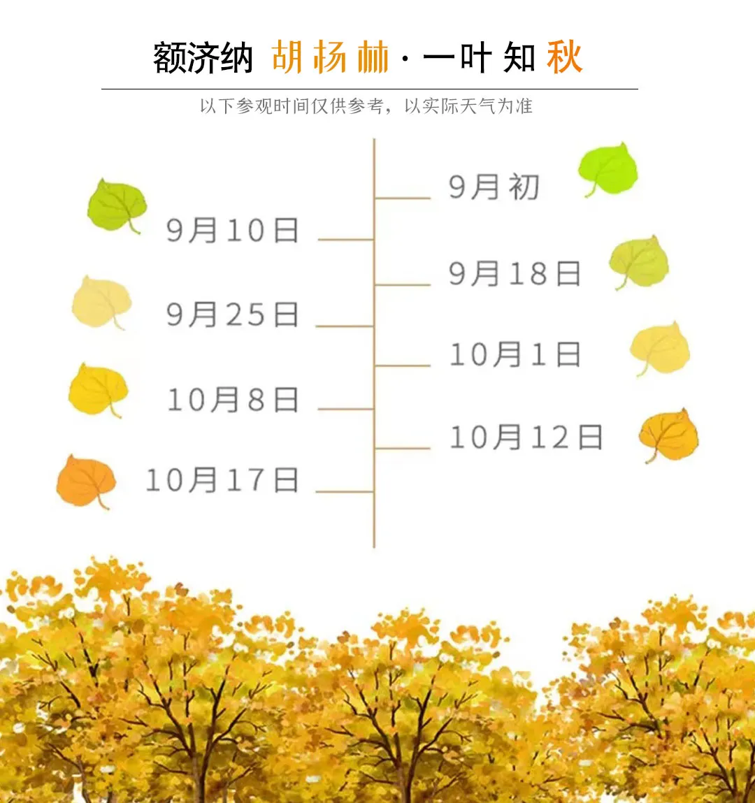 d6203f13459913a34b1478438474e159-sz_165198 d6203f13459913a34b1478438474e159-sz_165198