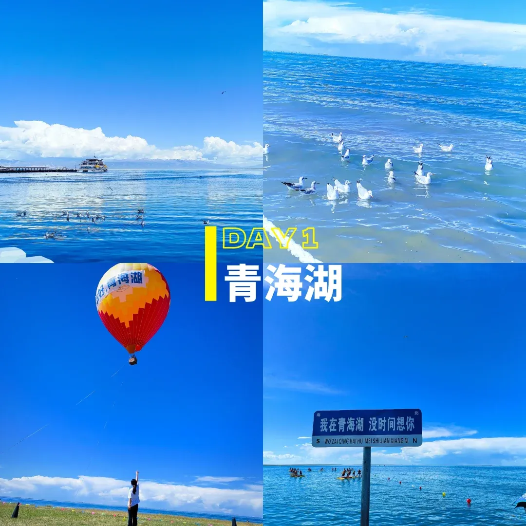 d877a87795e1782a3947646b63008cb3-sz_1668598-1 d877a87795e1782a3947646b63008cb3-sz_1668598-1