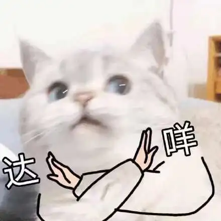 ddda5a51f49c7eb367db4c6b3a7f4ccb-sz_15970