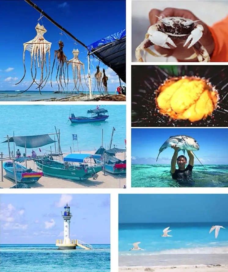 6f8c53a64486634919287bdc5a2d8048-sz_1466779 6f8c53a64486634919287bdc5a2d8048-sz_1466779