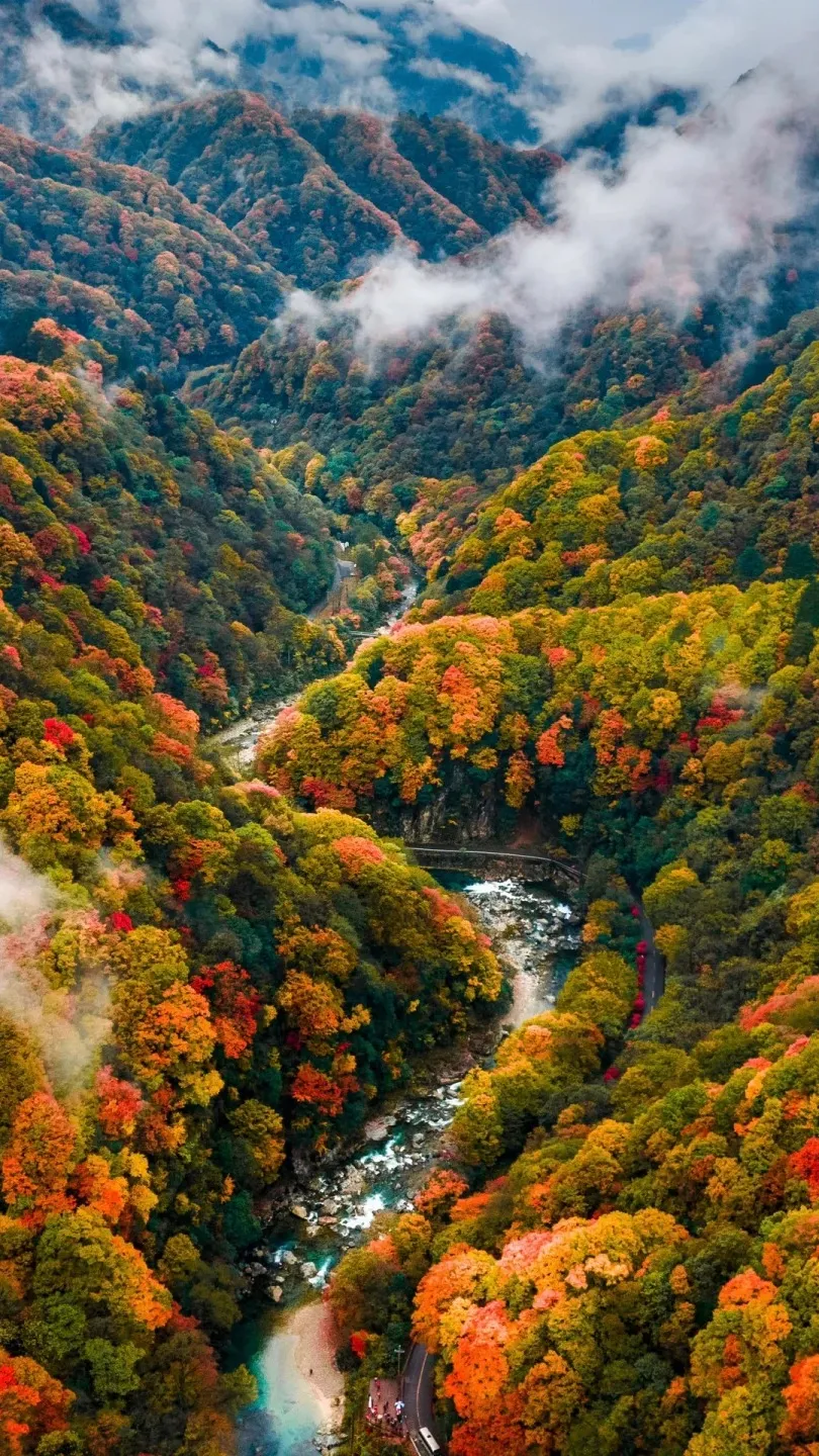 898a0846b593074efa565701d8c9de2b-sz_664583