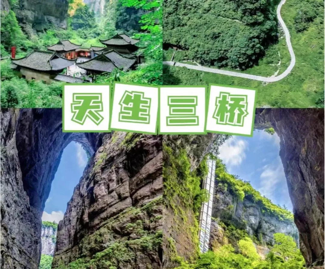 c7963d475204e53a860ad5252c6104f3-sz_718660