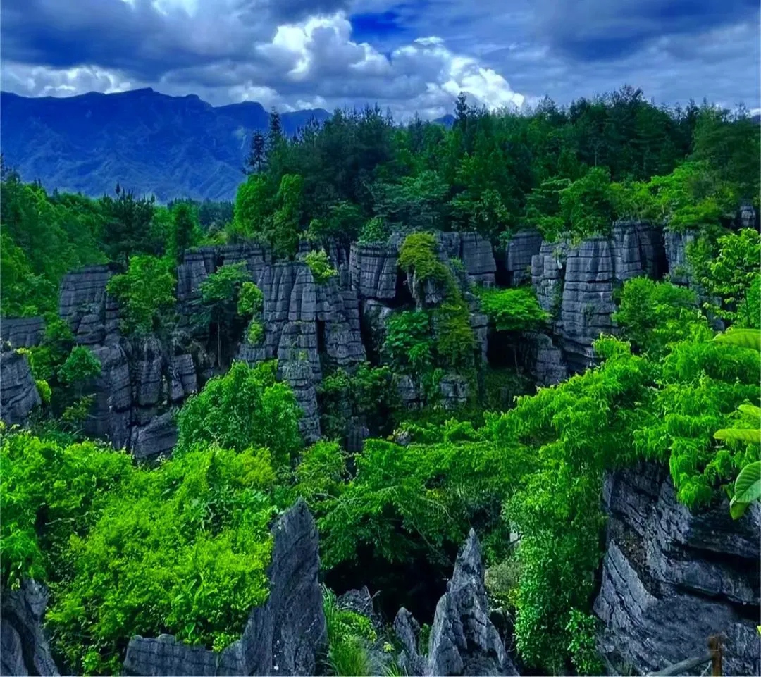 1b3171faedfe13ab858f50210cf2211d-sz_2025672