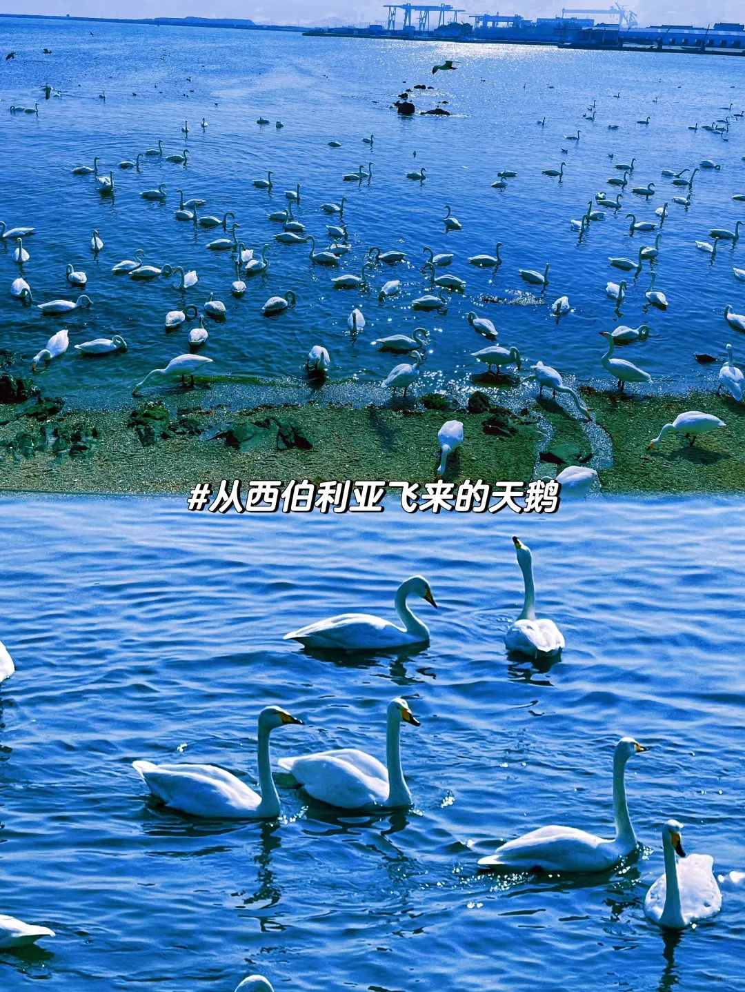 1ec329117020feb4a66d64ef051669b8-sz_4056021 1ec329117020feb4a66d64ef051669b8-sz_4056021
