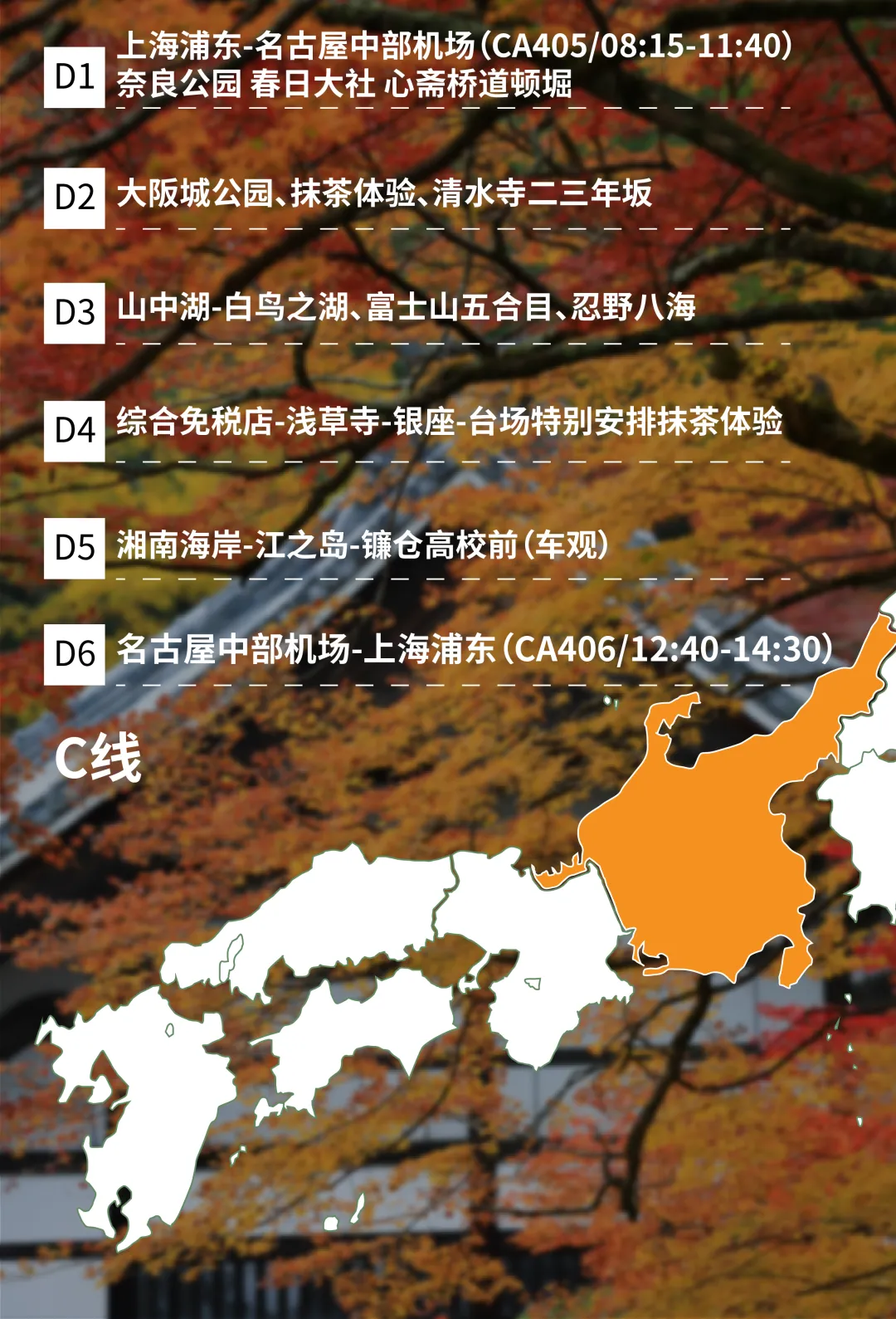 cf3361491d23859778fa431a64be553b-sz_4252968