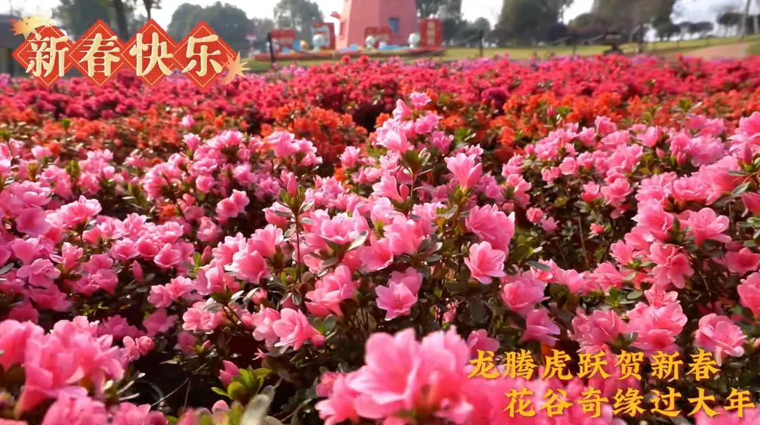 4d8b5996491a1c5298f789ecbe3f213d-sz_2376726-1 4d8b5996491a1c5298f789ecbe3f213d-sz_2376726-1