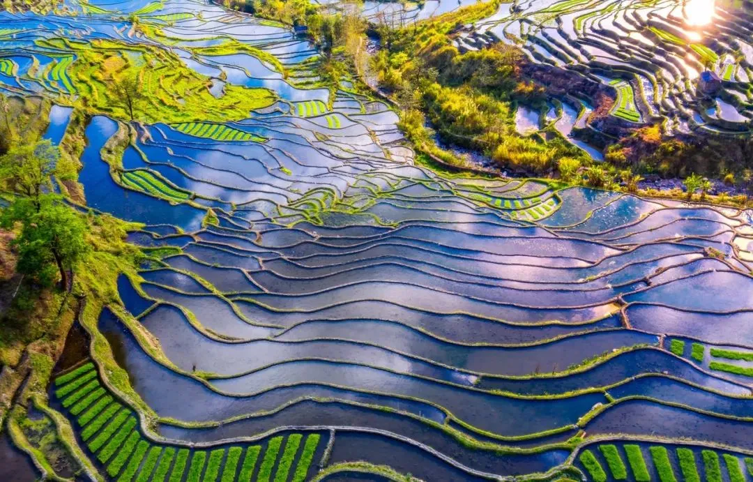 5c2511c6789d34d97f8688a70e4e387e-sz_210383-2